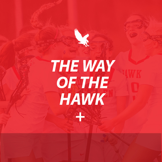 The Way of the Hawk